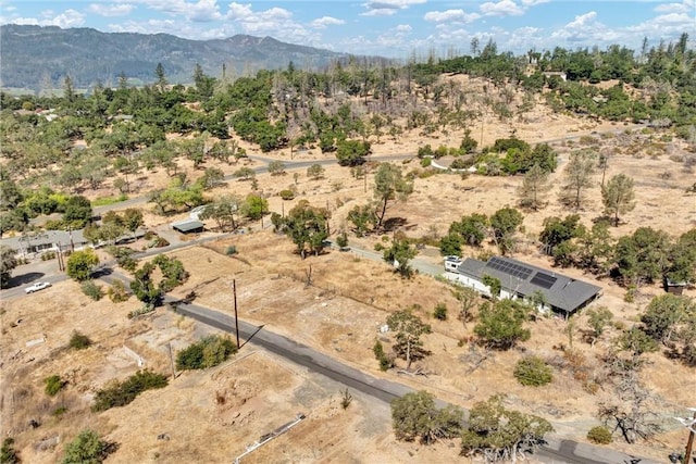 110 Pine Pl, Saint Helena, CA 94574 - photo 7