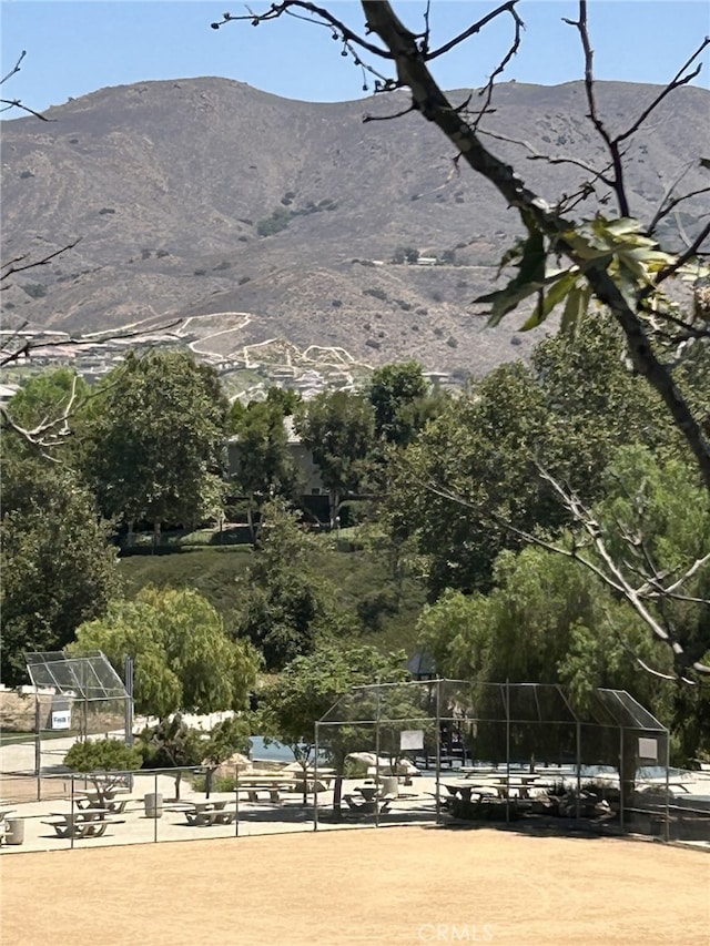 25198 Forest St, Corona, CA 92883 - photo 9