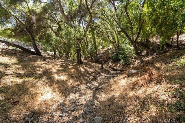 7644 Del Rio Rd, Atascadero, CA 93422 - photo 54
