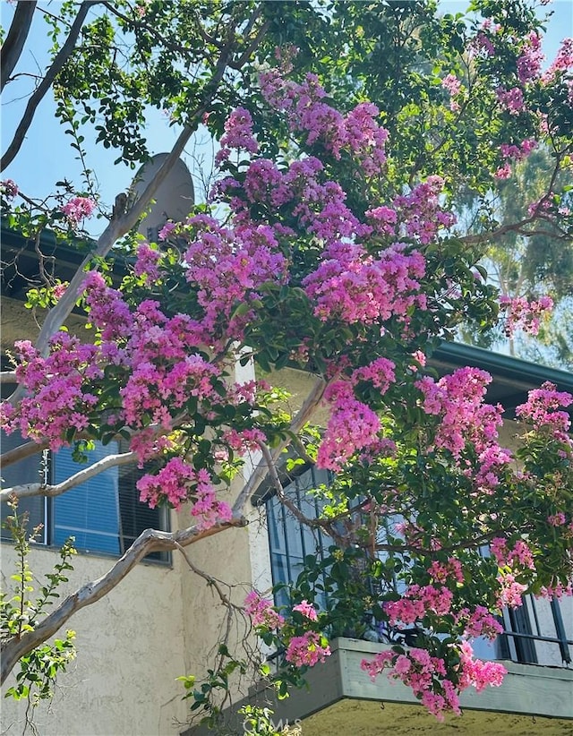 2300 S Hacienda Blvd Unit B2, Hacienda Heights, CA 91745 - photo 3