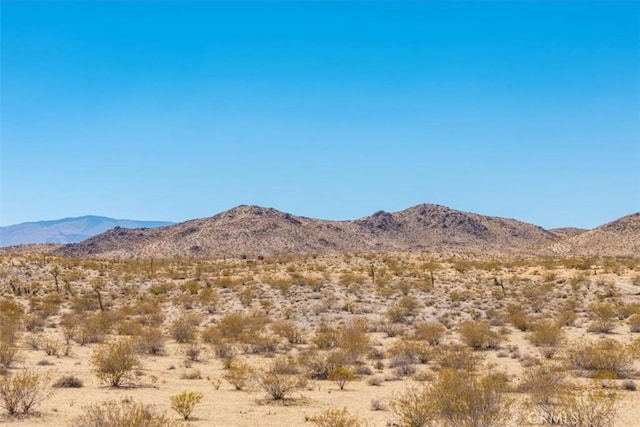 411 Willie Way, Joshua Tree, CA 92252 - photo 18