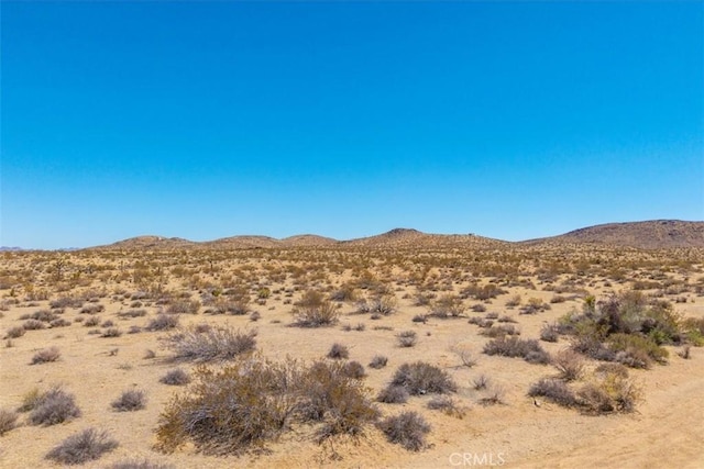 411 Willie Way, Joshua Tree, CA 92252 - photo 17