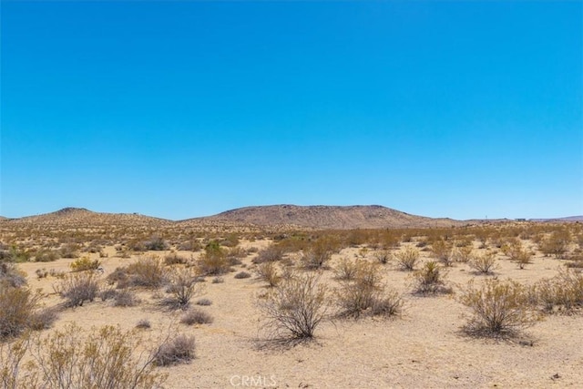 411 Willie Way, Joshua Tree, CA 92252 - photo 8