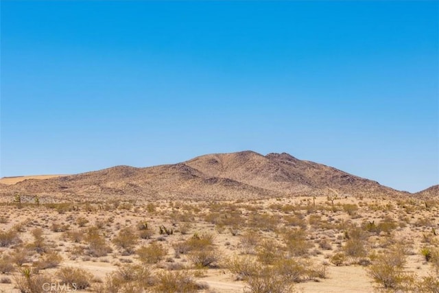 411 Willie Way, Joshua Tree, CA 92252 - photo 19