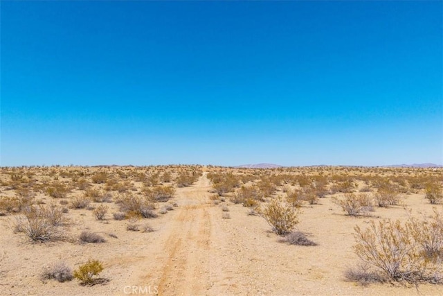 411 Willie Way, Joshua Tree, CA 92252 - photo 15