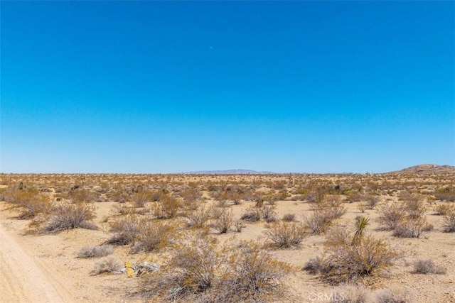 411 Willie Way, Joshua Tree, CA 92252 - photo 5