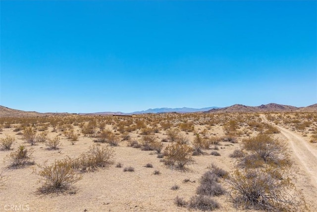 411 Willie Way, Joshua Tree, CA 92252 - photo 9