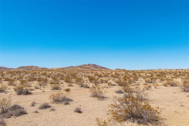 411 Willie Way, Joshua Tree, CA 92252 - photo 14
