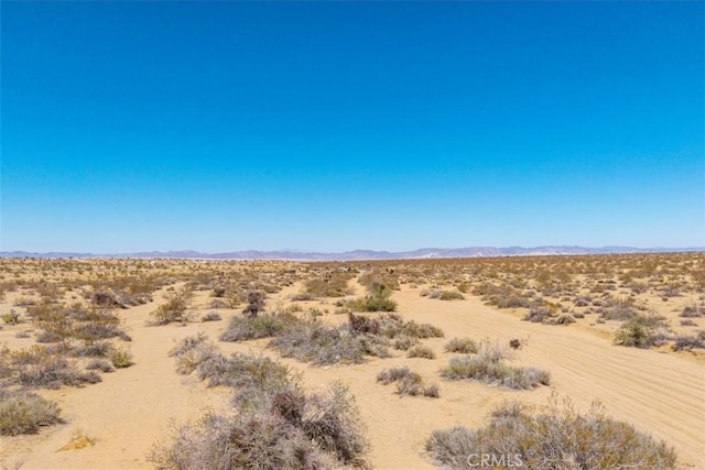 411 Willie Way, Joshua Tree, CA 92252 - photo 16