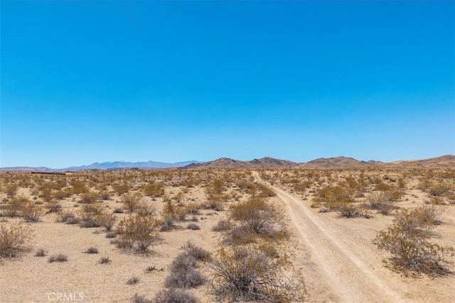 411 Willie Way, Joshua Tree, CA 92252 - photo 10