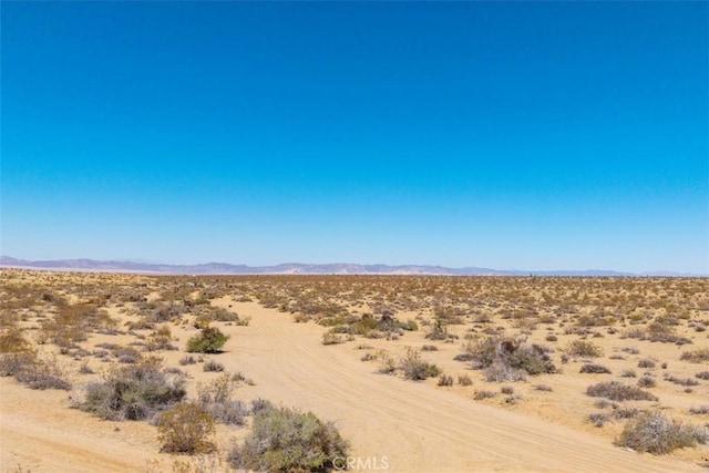 411 Willie Way, Joshua Tree, CA 92252 - photo 3