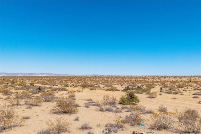 411 Willie Way, Joshua Tree, CA 92252 - photo 4