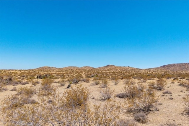 411 Willie Way, Joshua Tree, CA 92252 - photo 6