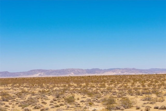 411 Willie Way, Joshua Tree, CA 92252 - photo 21