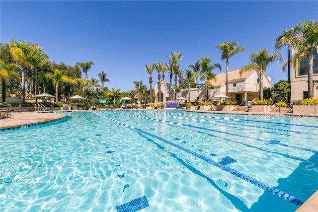 12 Genoa, Laguna Niguel, CA 92677 - photo 42