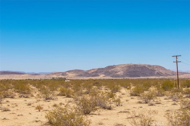 6224 Pelican Ave, Joshua Tree, CA 92252 - photo 17