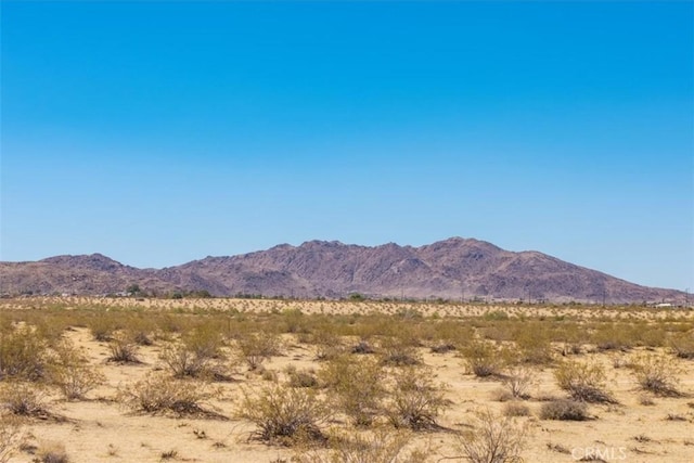 6224 Pelican Ave, Joshua Tree, CA 92252 - photo 19