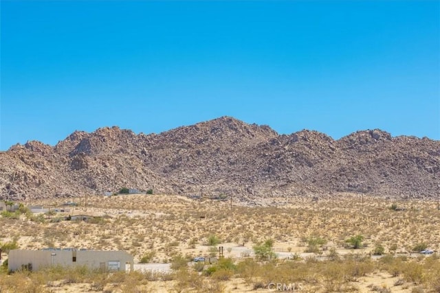 6224 Pelican Ave, Joshua Tree, CA 92252 - photo 24
