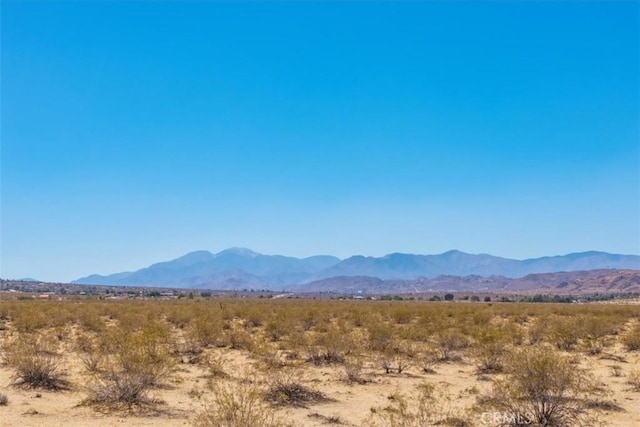 6224 Pelican Ave, Joshua Tree, CA 92252 - photo 20