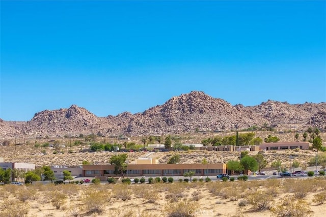 6224 Pelican Ave, Joshua Tree, CA 92252 - photo 21