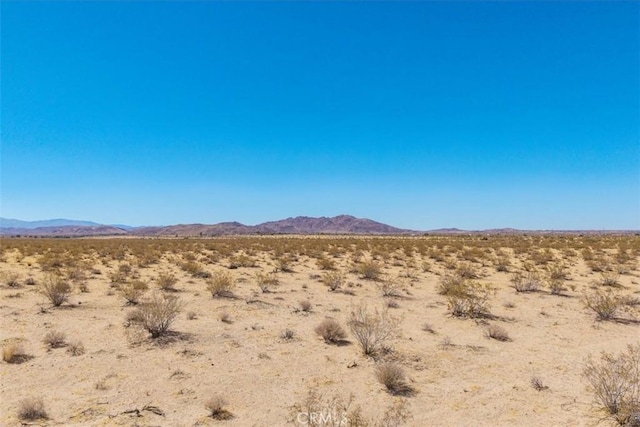 6224 Pelican Ave, Joshua Tree, CA 92252 - photo 10
