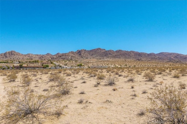 6224 Pelican Ave, Joshua Tree, CA 92252 - photo 4