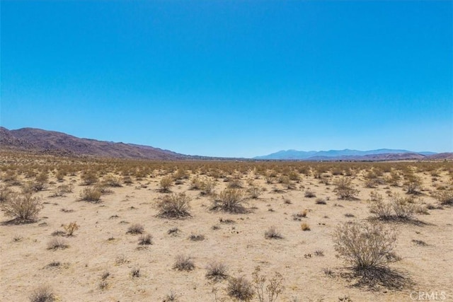6224 Pelican Ave, Joshua Tree, CA 92252 - photo 5