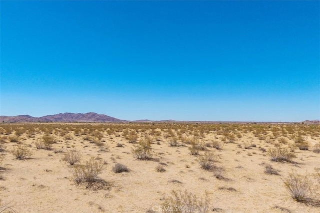 6224 Pelican Ave, Joshua Tree, CA 92252 - photo 9