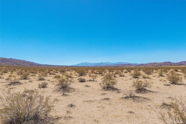 6224 Pelican Ave, Joshua Tree, CA 92252 - photo 7