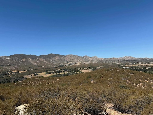 0 Montezuma Valley Rd, Ranchita, CA 92066 - photo 8