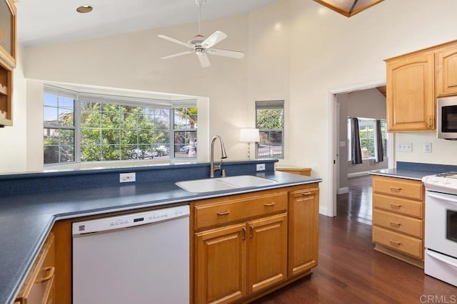 4260 Orchard Ave, San Diego, CA 92107 - photo 11