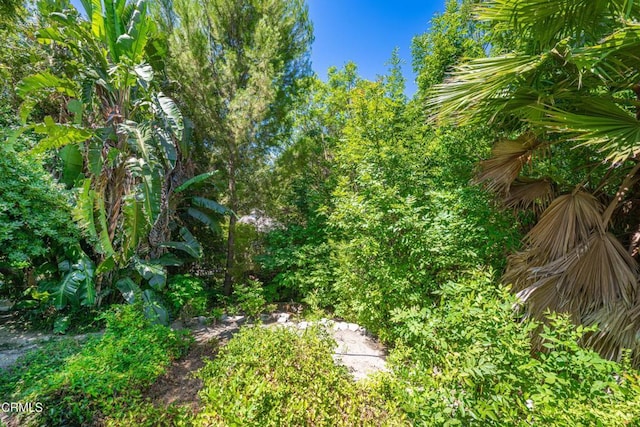 4369 Firmament Ave, Encino, CA 91436 - photo 44