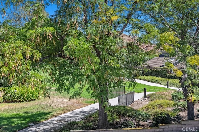 30 W Entrada, Irvine, CA 92660 - photo 25