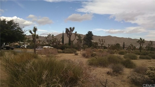 Listing photo 2 for 0 Church, Yucca Valley CA 92284