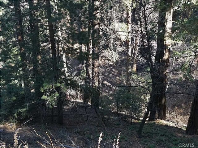 0 Burnt Mill Canyon Rd, Cedarpines Park CA, 92322 land for sale