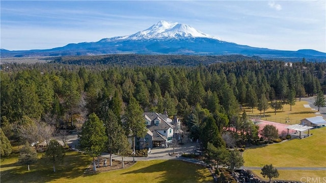 drone / aerial view with a mountain view