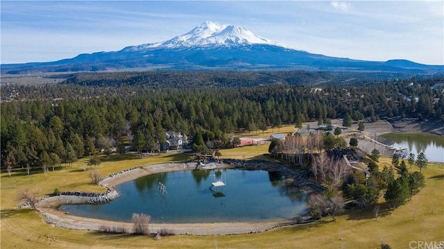 bird's eye view featuring a water and mountain view