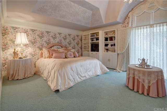 bedroom with a tray ceiling and carpet floors