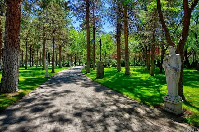 view of home's community featuring a lawn