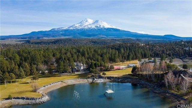 birds eye view of property featuring a water and mountain view