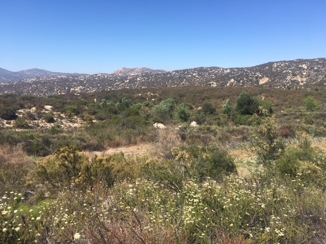 mountain view