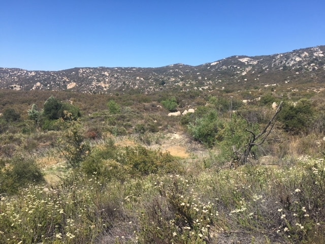 property view of mountains