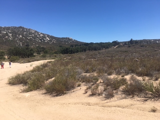 view of mountain feature