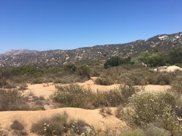 mountain view