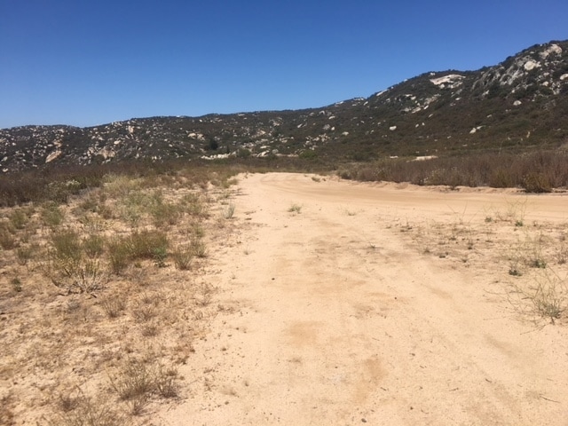 view of mountain feature