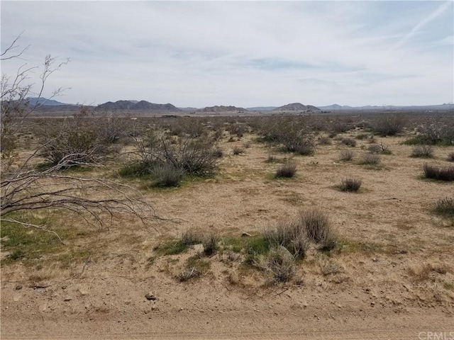 Listing photo 3 for 34558 Cattleman, Lucerne Valley CA 92635