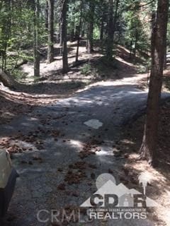 44530 San, Pablo, Lake Arrowhead CA, 92260 land for sale