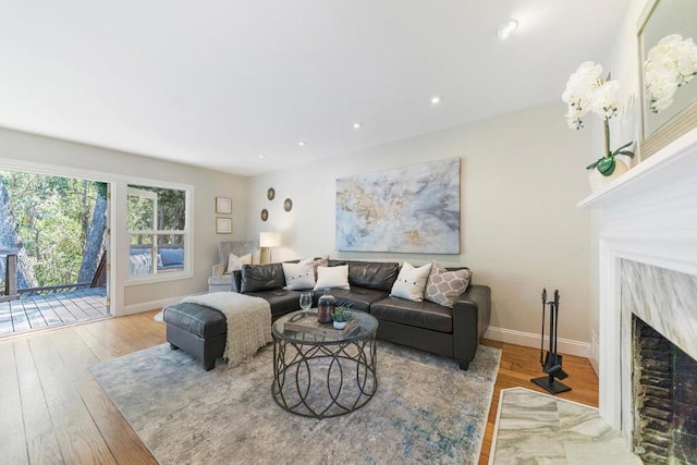 living room featuring wood-type flooring and a premium fireplace