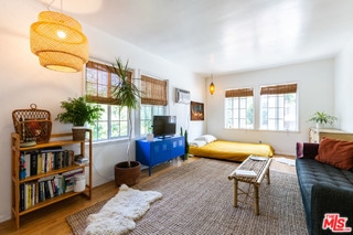 living room featuring a healthy amount of sunlight and hardwood / wood-style flooring