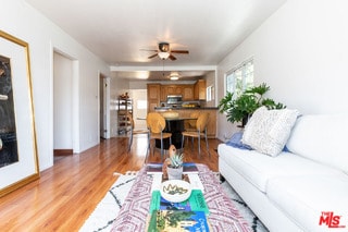 living room featuring ceiling fan and hardwood / wood-style flooring